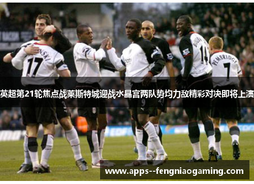 英超第21轮焦点战莱斯特城迎战水晶宫两队势均力敌精彩对决即将上演