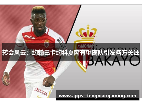 转会风云：约翰巴卡约科夏窗有望离队引发各方关注