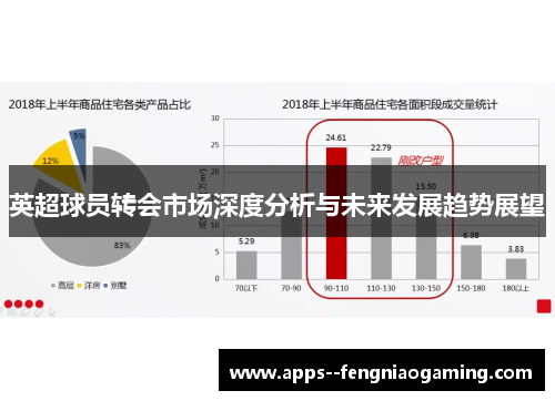 英超球员转会市场深度分析与未来发展趋势展望