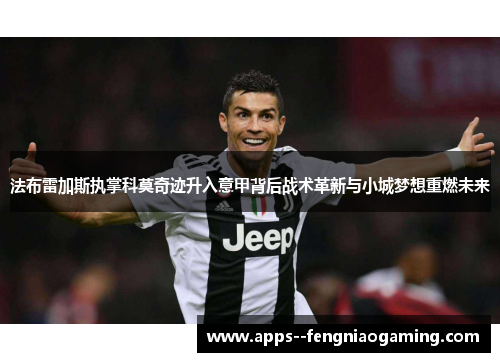 法布雷加斯执掌科莫奇迹升入意甲背后战术革新与小城梦想重燃未来