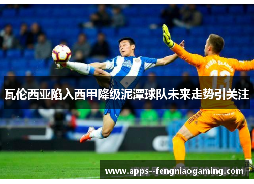 瓦伦西亚陷入西甲降级泥潭球队未来走势引关注 瓦伦西亚陷入西甲降级泥潭球队未来走势引关注