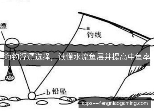 海钓浮漂选择，读懂水流鱼层并提高中鱼率