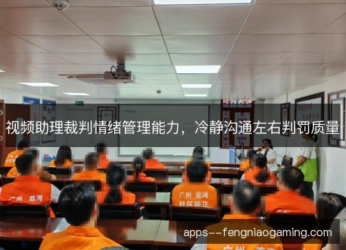 视频助理裁判情绪管理能力，冷静沟通左右判罚质量