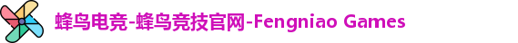 蜂鸟电竞公司